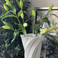 Twisted White Vase