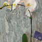 White Orchid / Philonopsis - Single Stem