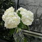 Clear Tubes Glass Vases - 2 Sizes
