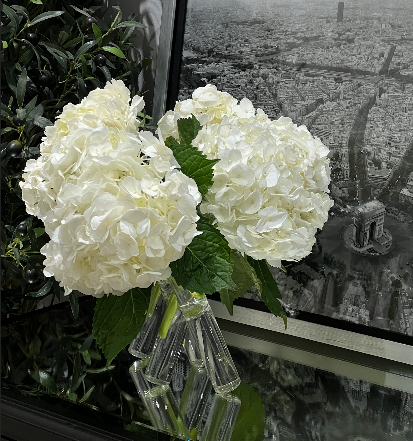 Clear Tubes Glass Vases - 2 Sizes